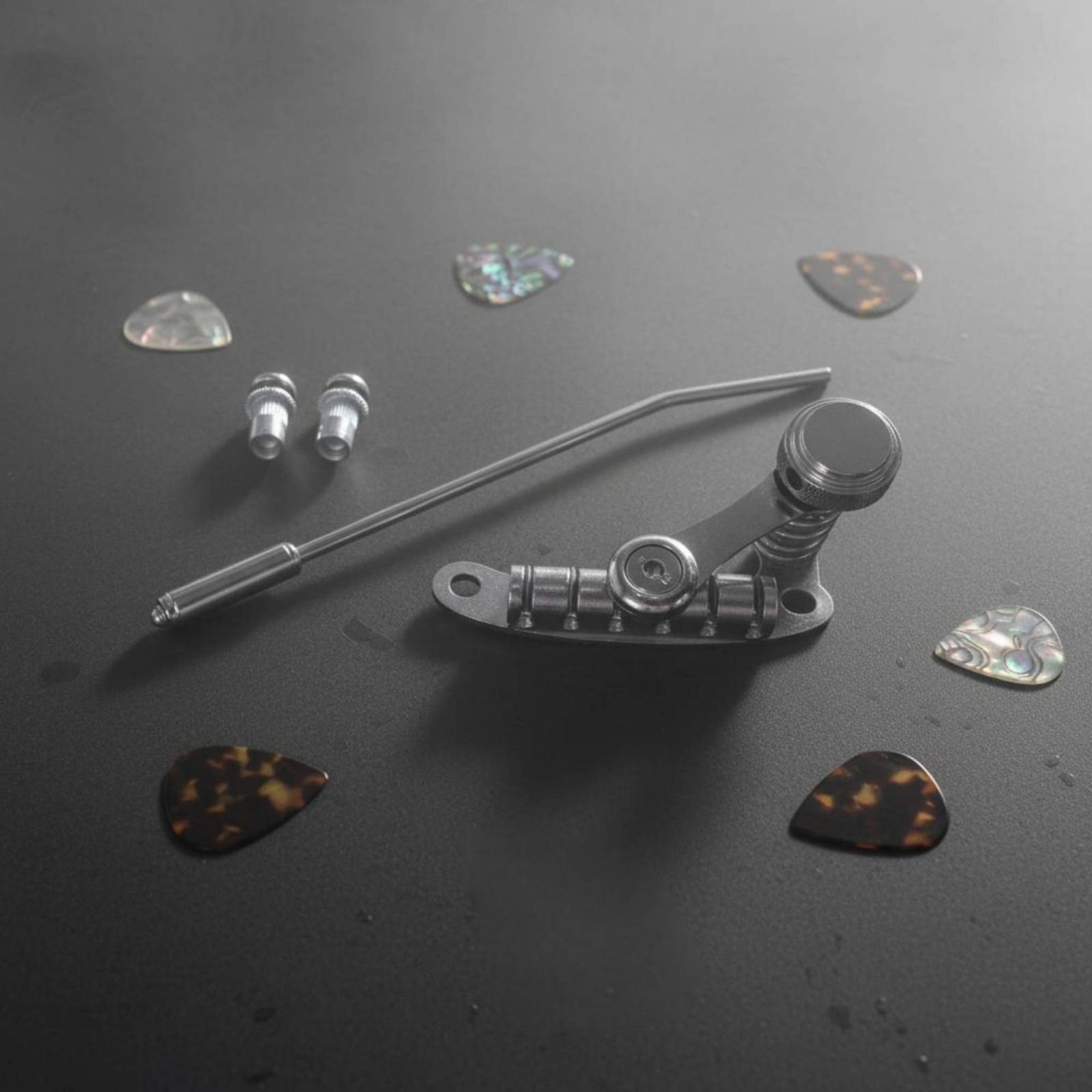 Les Trem II Tailpiece Tuning S - Diy Guitar Electronics ulasan dan harga